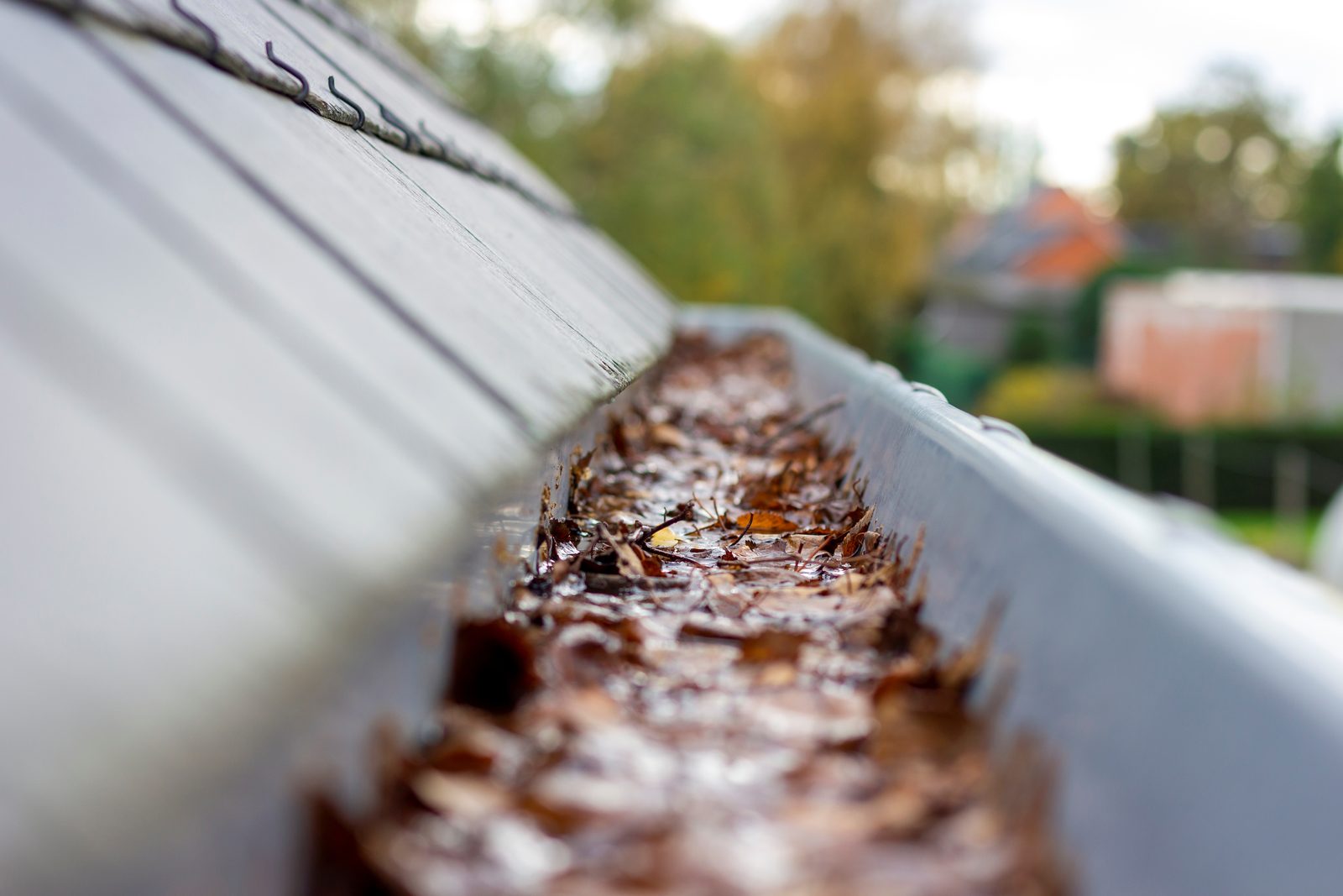 Guttering by Smart Call Contractors
